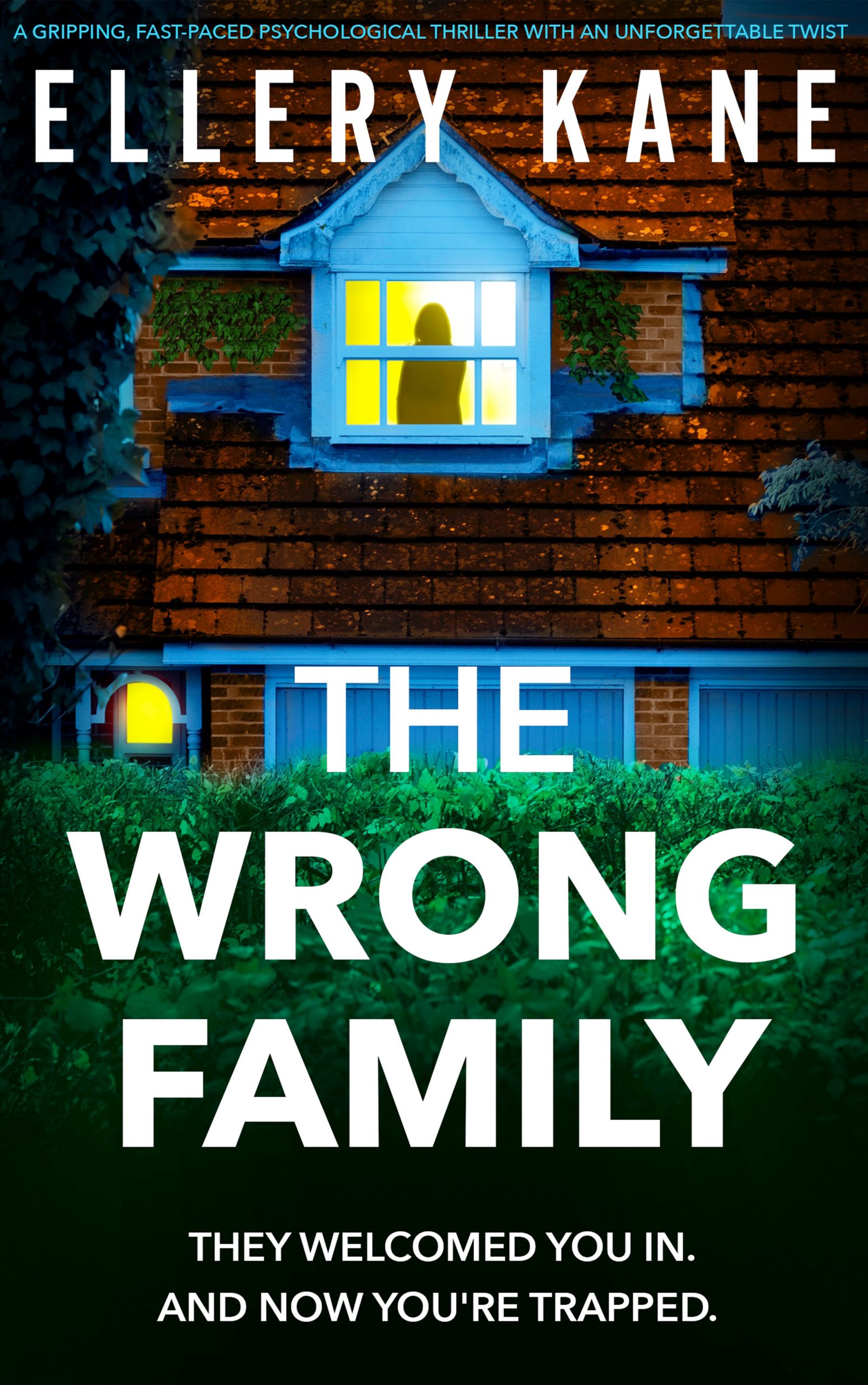 book cover for The Wrong Family by Ellery Kane